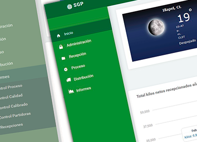 Captura de pantalla del proyecto SGP